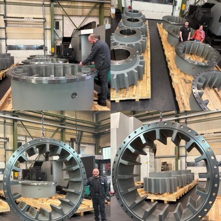 bestehend aus Nockenring und Nabe